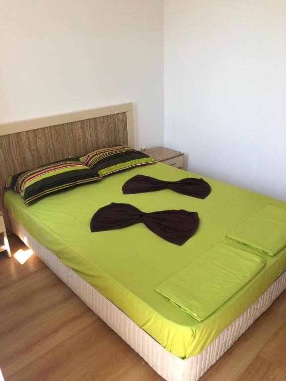 Apartament Salena