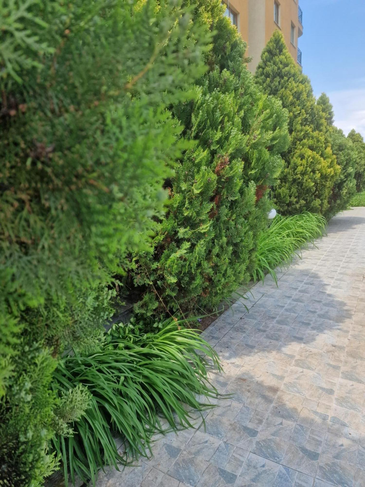Apartament Salena